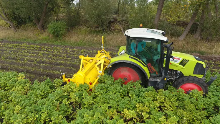 Ropa Broyeur de fanes de pommes de terre Réussir machinisme