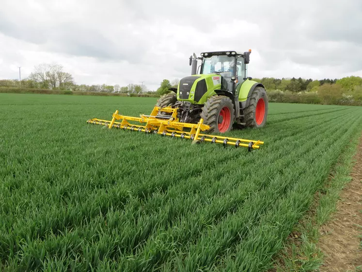 Si la présence de débris végétaux n'est pas souhaitable, les itinéraires simplifiés ne sont pas incompatibles avec le binage de céréales. Le britannique Claydon a ainsi conçu les bineuses TerraBlade en adéquation avec ses semoirs à dents Hybrid plaçant la semence en bandes tous les 32 cm.