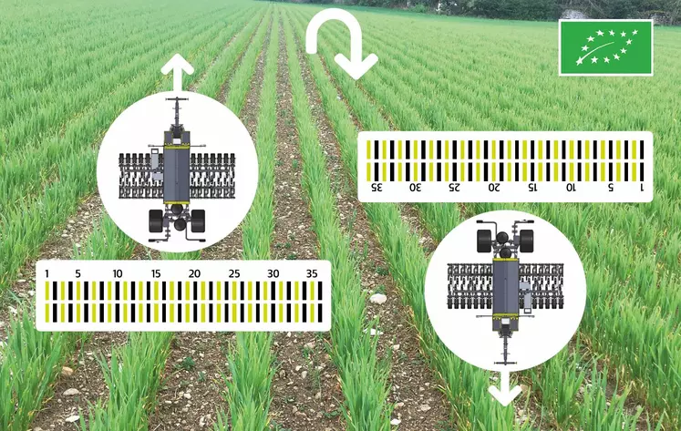 Les semoirs Sky Easydrill et Maxidrill à nombre d'éléments impair, ont évolué pour faciliter le binage : lorsque l'utilisateur choisit d'utiliser une seule rangée (30 cm d'interrang plutôt que 15), l'ouverture/fermeture de chaque rang est inversée automatiquement en fourrière, afin de conserver le même écart d'un passage à l'autre.