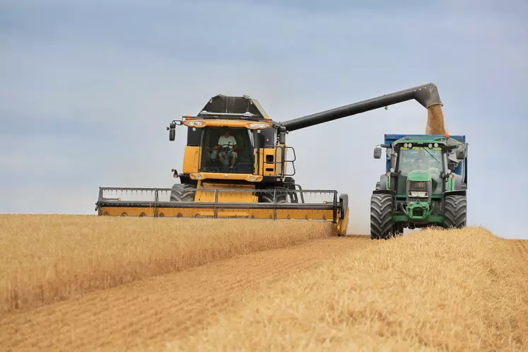 travaux agricoles d'été (moisson)