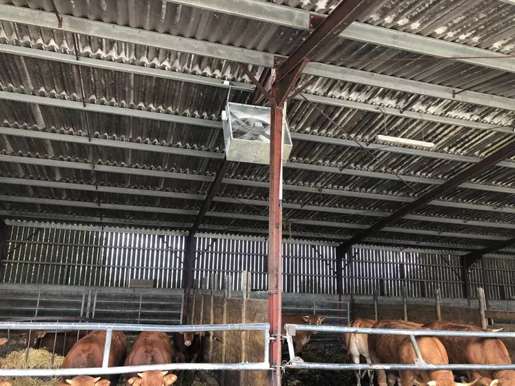 Orela propose des brasseurs d'air pour les bâtiments d'élevage.