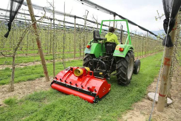 Les broyeurs vignes et vergers peuvent traiter les sarments.