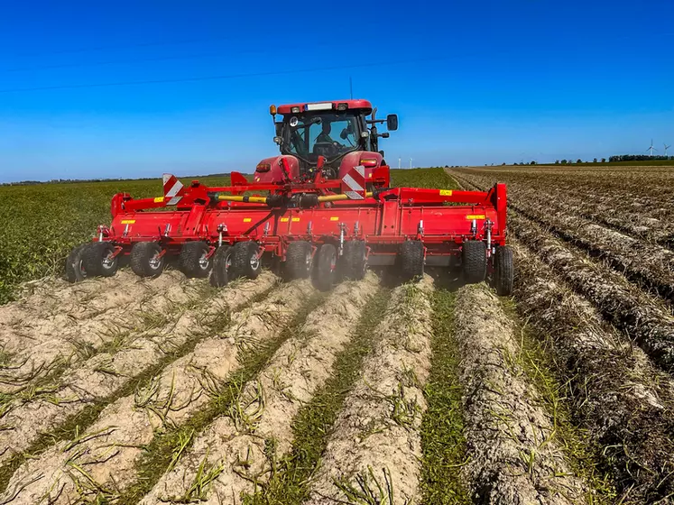 Le broyeur de fanes Toppa 800 de Grimme se compose de deux éléments de quatre rangs.  