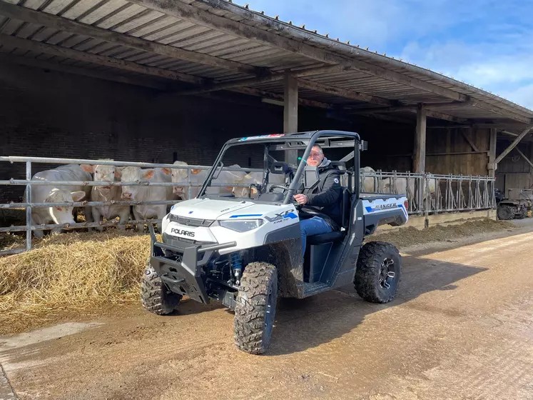 SSV Polaris Ranger Kinetic 100 % électrique devant des bovins viande