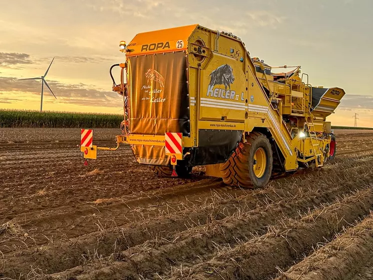 Arracheuse de pommes de terre traînée deux rangs Ropa Keiler 2  avec tracteur Fendt 828 Vario