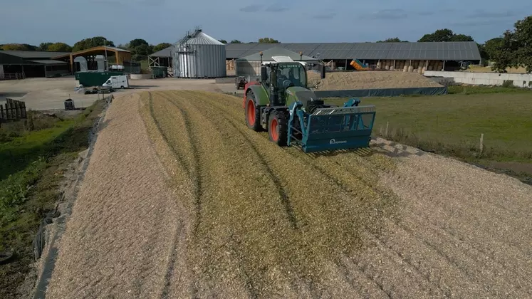 Tracteur Fendt 718 Vario de la Cuma des trois Vallées de la Hague dans la Manche au tassage de silo de maïs avec fourche à éjection Lenormand