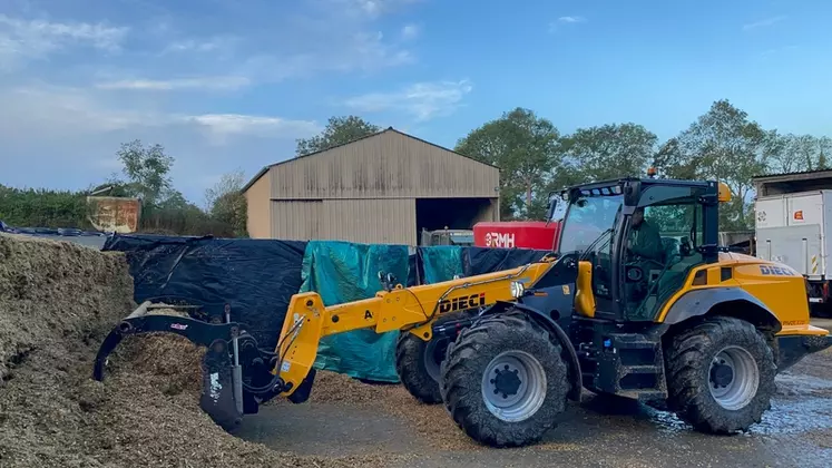 Chargeuse articulée Dieci Agri Pivot T70 à la reprise d'ensilage de maïs