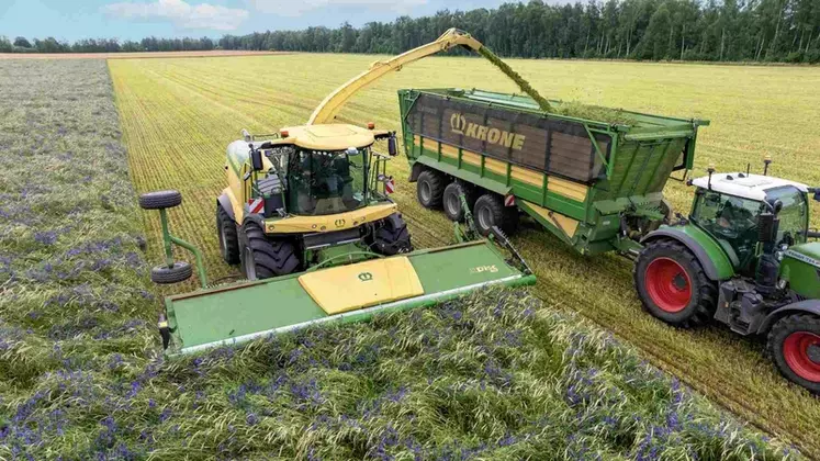 Coupe directe Krone Xdisc 710 au travail