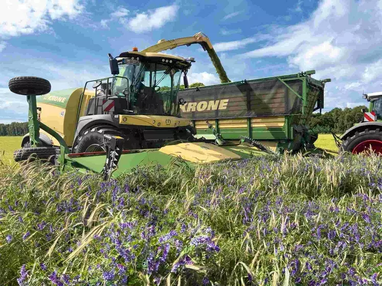 Coupe directe Krone Xdisc 710 au travail avec ensileuse Krone