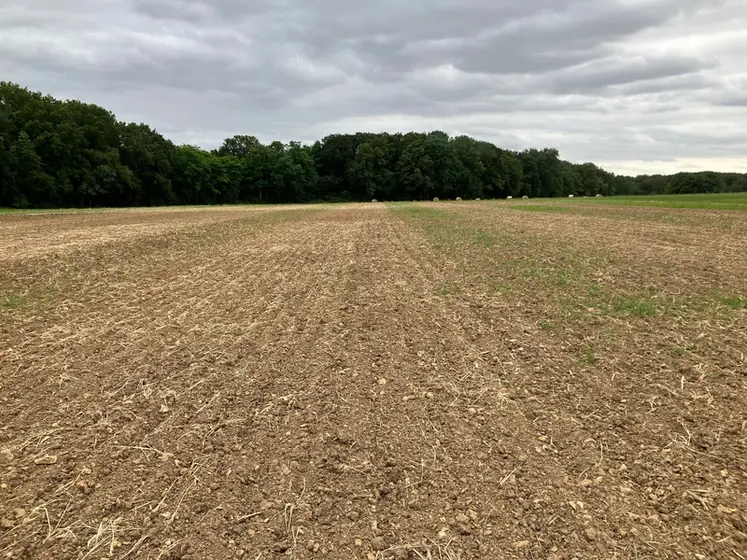 <em class="placeholder">L&#039;état de surface de la parcelle une semaine après le test confirme la supériorité de l&#039;outil à dents dont les passages sont quasiment exempts de repousses, ...</em>