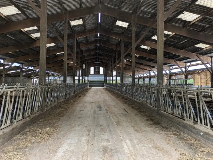 <em class="placeholder">La stabulation principale des vaches allaitantes comporte un couloir d&#039;alimentation encadré de 70 cornadis, qui peuvent être segmentés en 10 lots.</em>