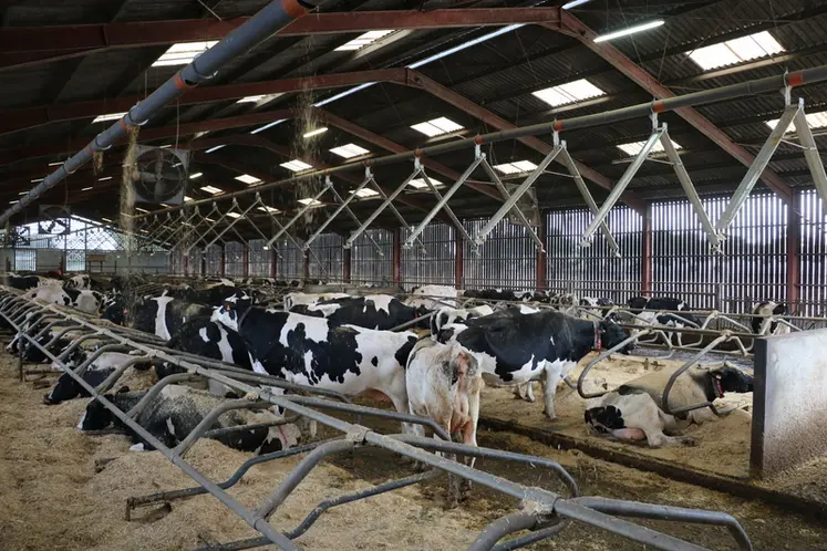 <em class="placeholder">Avec les automates centralisés, les circuits de tuyaux acheminant la paille à l&#039;aide de chaînes ou câbles à pastilles s&#039;installent très facilement au dessus des ...</em>
