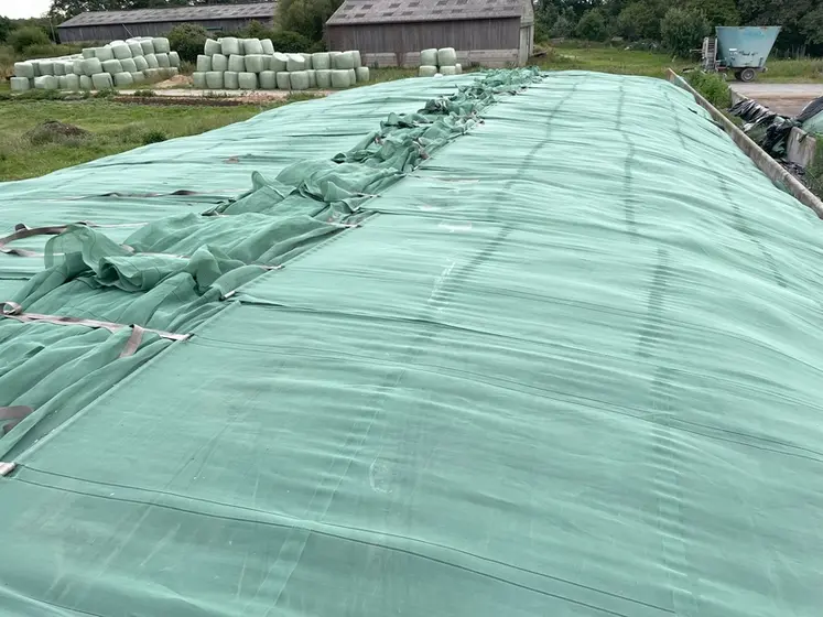 <em class="placeholder">Tas d&#039;ensilage couvert par le système de bâchage par filets Silage Safe de CBS Béton</em>