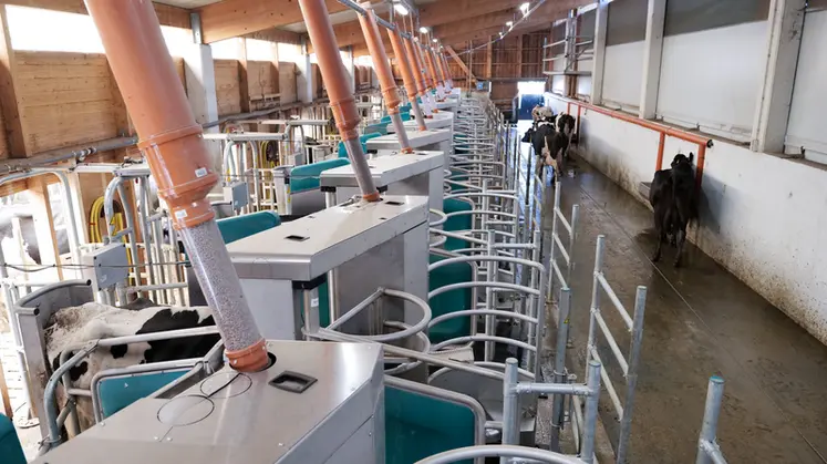 <em class="placeholder">Robots de traite DairyRobot R9650 de GEA en installation de traite par lots Batch Milking</em>