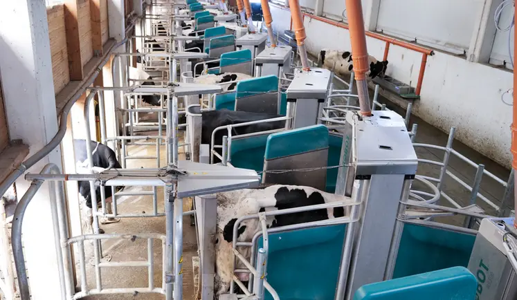<em class="placeholder">Robots de traite DairyRobot R9650 de GEA en installation de traite par lots Batch Milking</em>