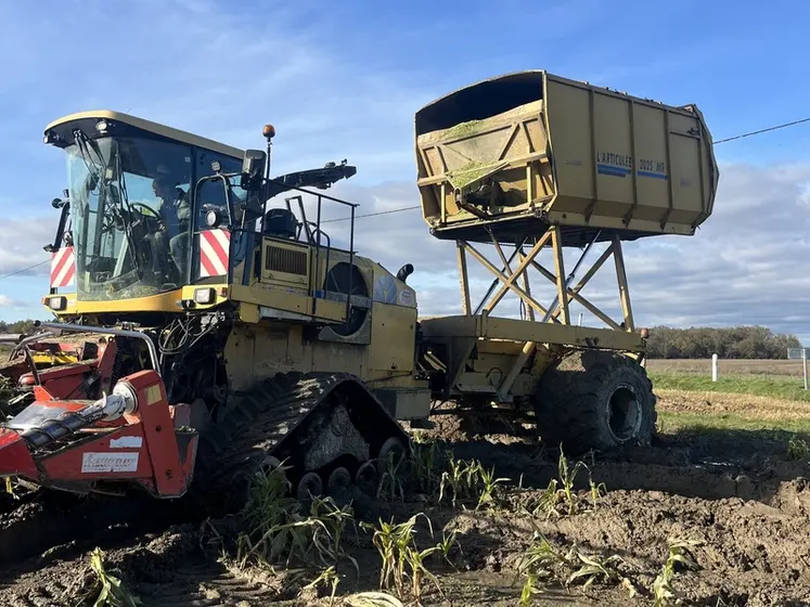 <em class="placeholder">Ensileuse à trémie Racine L’Articulée 2025 MR sur base de New Holland FX60</em>