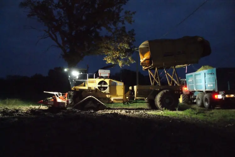 <em class="placeholder">Ensileuse à trémie Racine L’Articulée 2025 MR sur base de New Holland FX60 à la vidange dans une remorque Rolland</em>