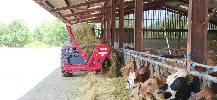 <em class="placeholder">Dérouleuse Suire Polyroll distribuant une balle cubique à des vaches laitières</em>