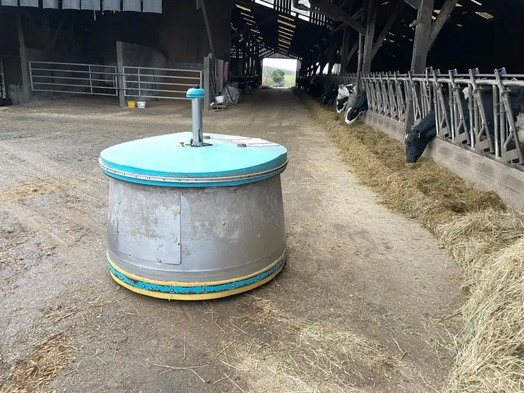 <em class="placeholder">Robot repousse fourrage CRD Alim Big devant cornadis avec vaches laitières Prim&#039;Holstein au Gaec du Rocher à Saint-Loup-du-Gast (Mayenne)</em>