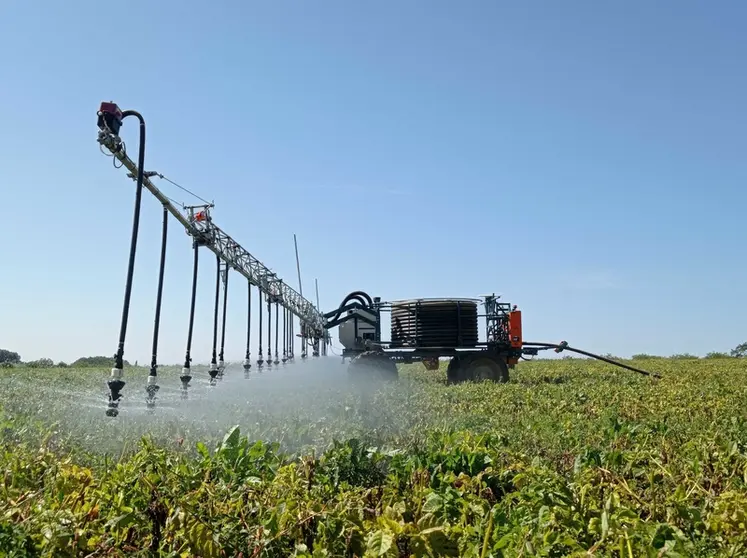 <em class="placeholder">Robot Oscar en action d&#039;irrigation dans un champ de pommes de terre.</em>