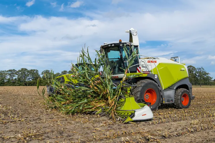 <em class="placeholder">Ensileuse Claas Jaguar 880 récoltant du maïs fourrage</em>
