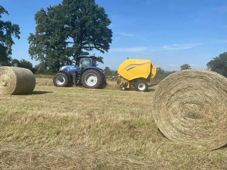 <em class="placeholder">Presse à balles rondes à chambre variable New Holland Pro-Belt 165 au travail dans le foin avec tracteur New Holland T7.210 AutoCommand</em>