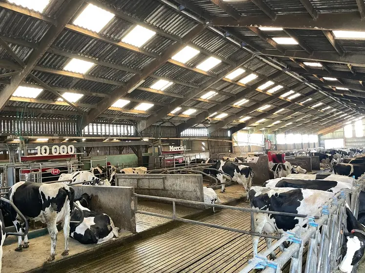 <em class="placeholder">Vue de la stabulation des vaches laitières avec les deux robots de traite Astronaut A5 du Gaec des Gressets dans le Morbihan</em>