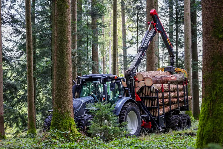 <em class="placeholder">Débardeuse HORSCH PIRK Forestry devant un tracteur dans la forêt.</em>