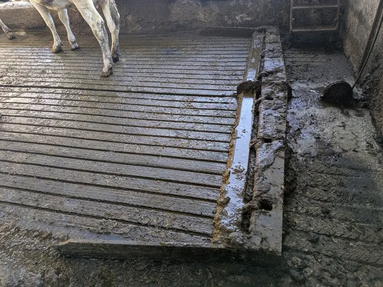 <em class="placeholder">Racleur de lisier évoluant sur tapis drainants Magellan de Bioret Agri</em>