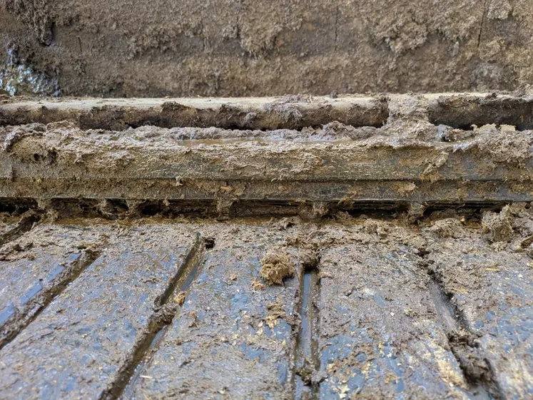 <em class="placeholder">Peigne sur racleur de lisier évoluant sur tapis drainants Magellan de Bioret Agri</em>