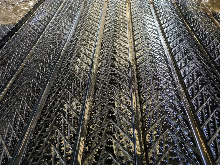 <em class="placeholder">Vue de la surface des tapis drainants Magellan de Bioret Agri</em>