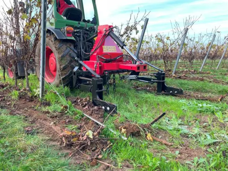 Outil de désherbage mécanique Skiterre dans les vignes.