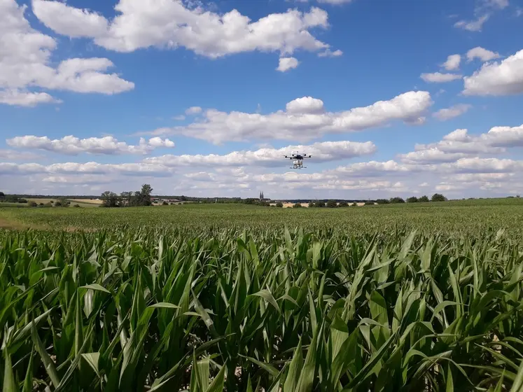 <em class="placeholder">Epandage de trichogrammes au drone</em>