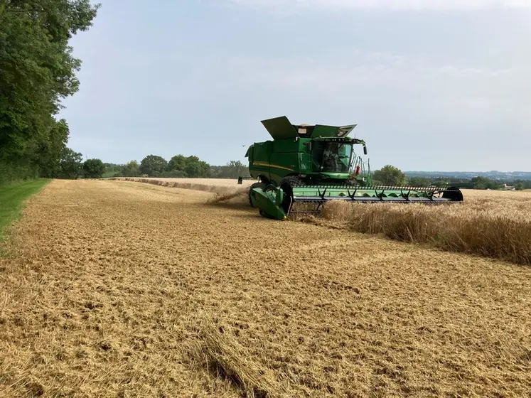 <em class="placeholder">Moissonneuse-batteuse John Deere S780 équipée d’une plateforme Draper flexible RD35F</em>