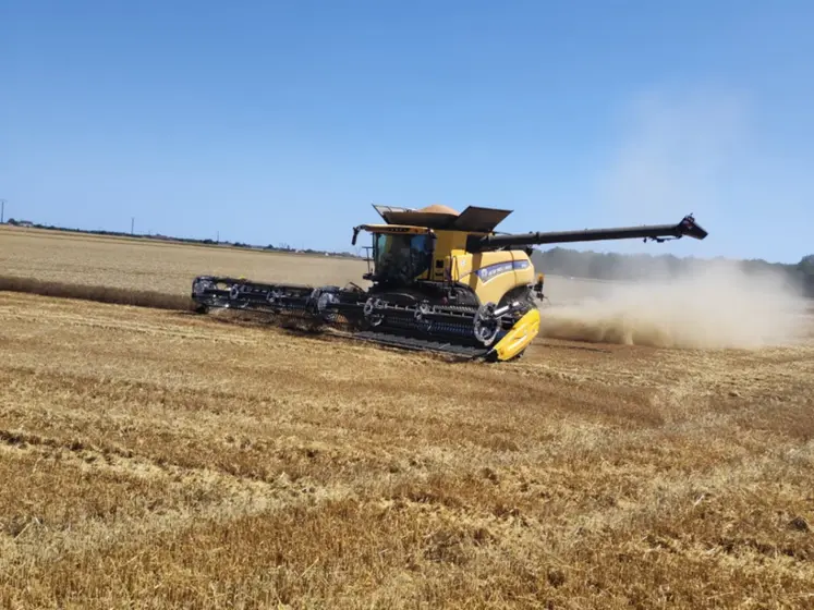 <em class="placeholder">Moissonneuse-batteuse New Holland CR9.90 avec coupe MacDon FD241 FlexDraper de 12,50 m</em>