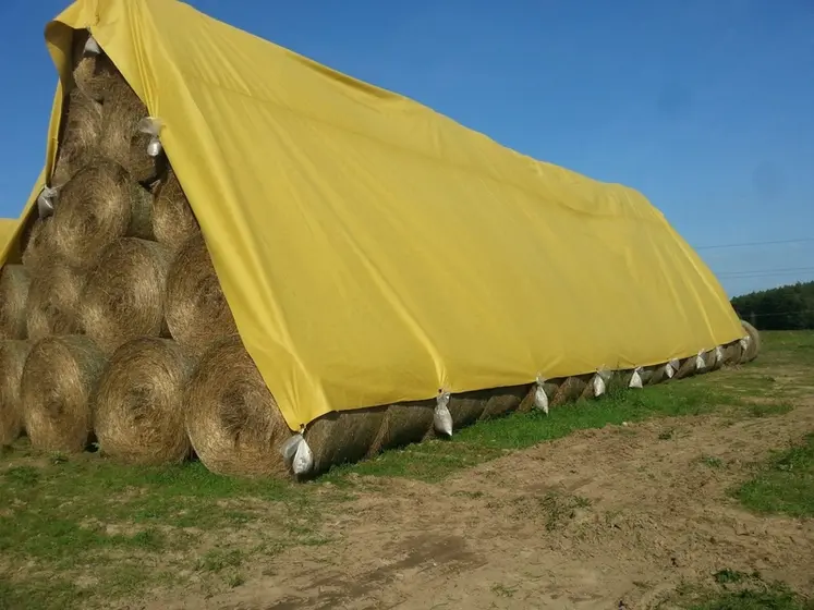 <em class="placeholder">Balles de foin rondes stockées en plein champ sous une bâche jaune.</em>