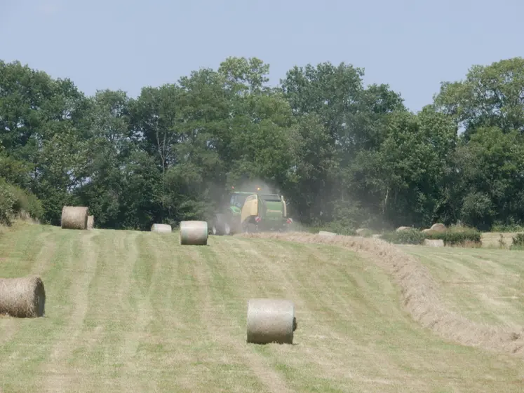 <em class="placeholder">Champ de fourrages avec des balles rondes et un tracteur avec une presse à balles rondes.</em>