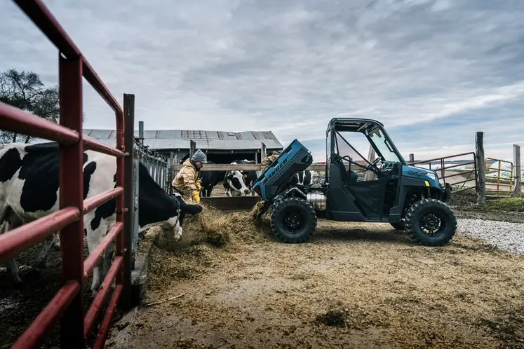 <em class="placeholder">SSV Polaris Ranger XP 1000 </em>