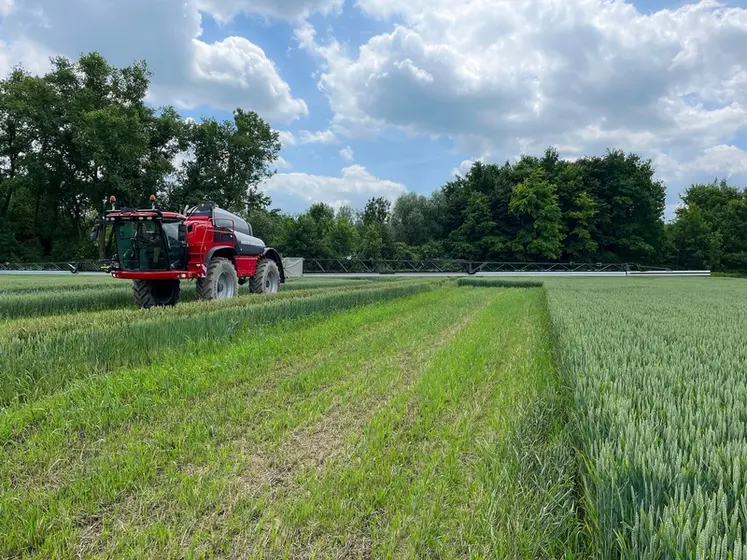 <em class="placeholder">Pulvérisateur automoteur Horsch avec système de suivi du sol BoomControl </em>
