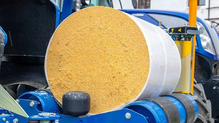 <em class="placeholder">Balle d'ensilage de maïs épis liée au film, avant la phase d'enrubannage. sur presse-enrubaneuse Göweil</em>
