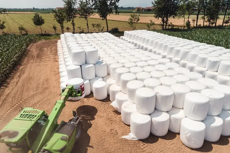 <em class="placeholder">Stockage de balles d'ensilage de maïs</em>