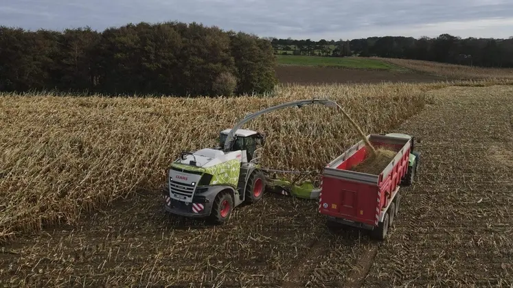 <em class="placeholder">Ensileuse Claas Jaguar récoltant du maïs versé</em>