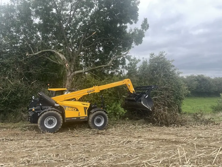 <em class="placeholder">Chargeur télescopique Dieci Agri Max 50.8 Power X2 au ramssage de branche avec un godet multifonction.</em>