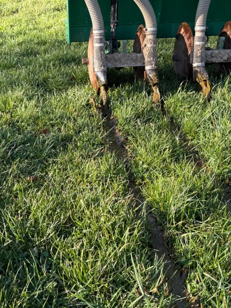 <em class="placeholder">SIllon avec lisier déposé par l'injecteur spécial prairie Samson TE 8 de la Cuma du Don de Landelles-et Coupigny dans le Calvados</em>