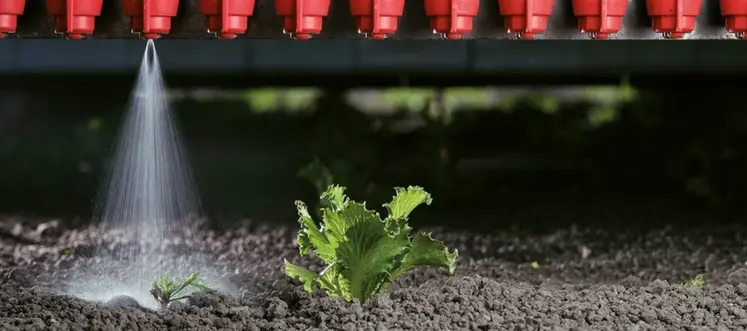 <em class="placeholder">Buses de pulvérisation du pulvérisateur Ecorobotix Ara 620</em>