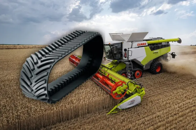 <em class="placeholder">Chenille Mitrack de Mitas</em>