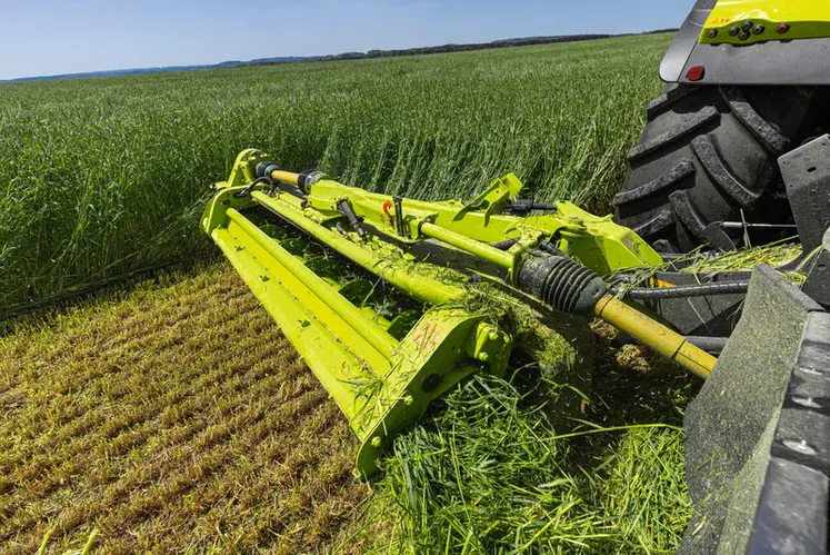 <em class="placeholder">Faucheuse triple Claas avec groupeur à vis sans fin</em>
