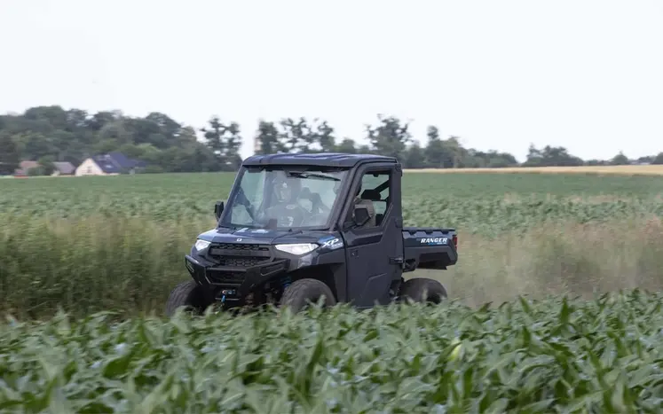 <em class="placeholder">SSV Polaris</em>