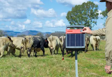 La société tarnaise Cabi Group distribue les électrificateurs Speedrite, marque néozélandaise et australienne. 
