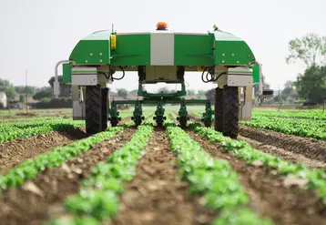 Naïo Technologies annonce avoir commercialisé plus de 150 robots agricoles.